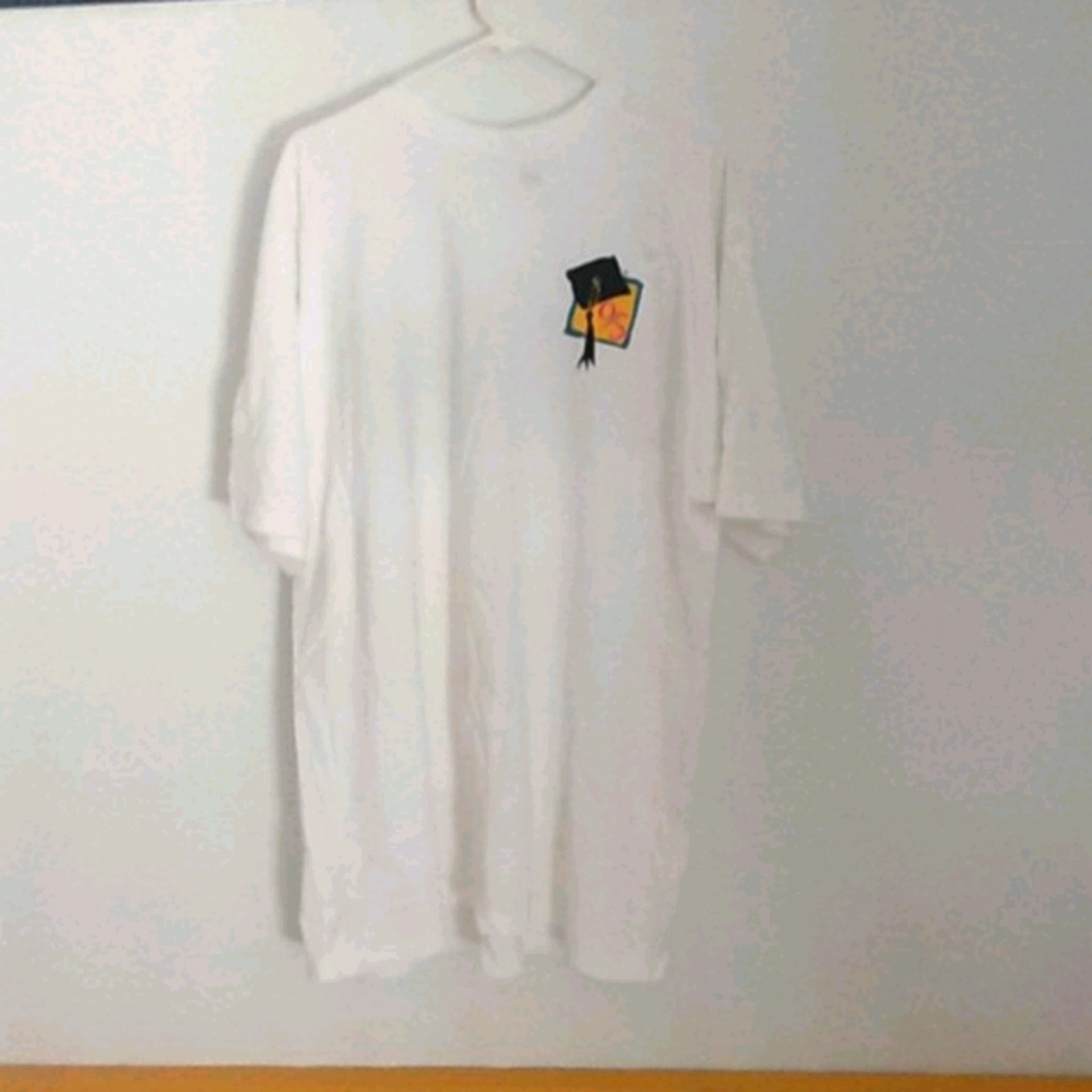 Vtg Class of 95 Graphic t-shirt